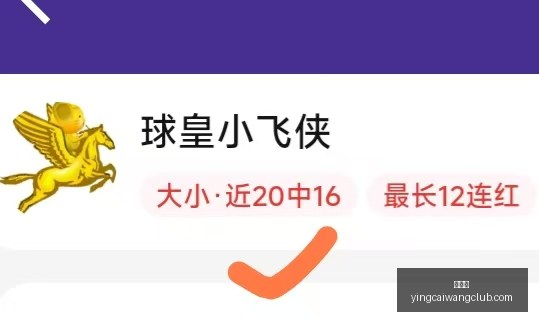 赢彩网彩票,平台数据冲,引发关注,赢彩网,彩票平台,在线投注,安全购彩,彩票预测