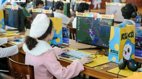 周日013英超：诺丁汉森林对决富勒姆，专家质合分析推荐前区十